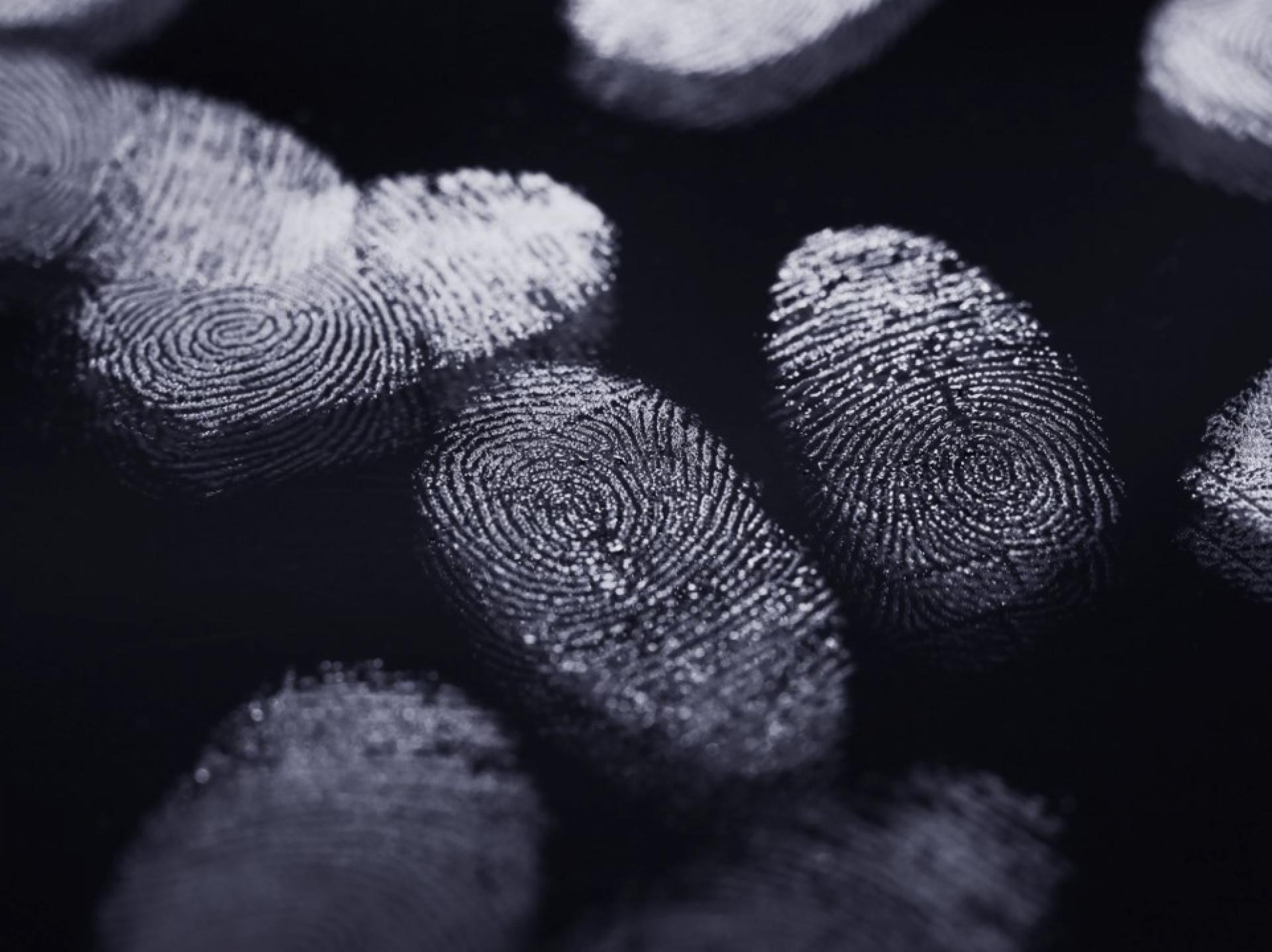 Fingerprints black and white
